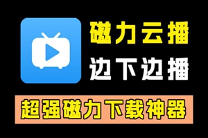 2024年最新磁力下载工具大盘点！